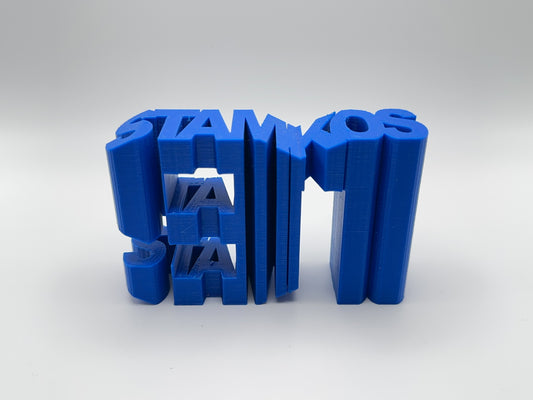 Cool Steven Stamkos #91 3D Printed Gift