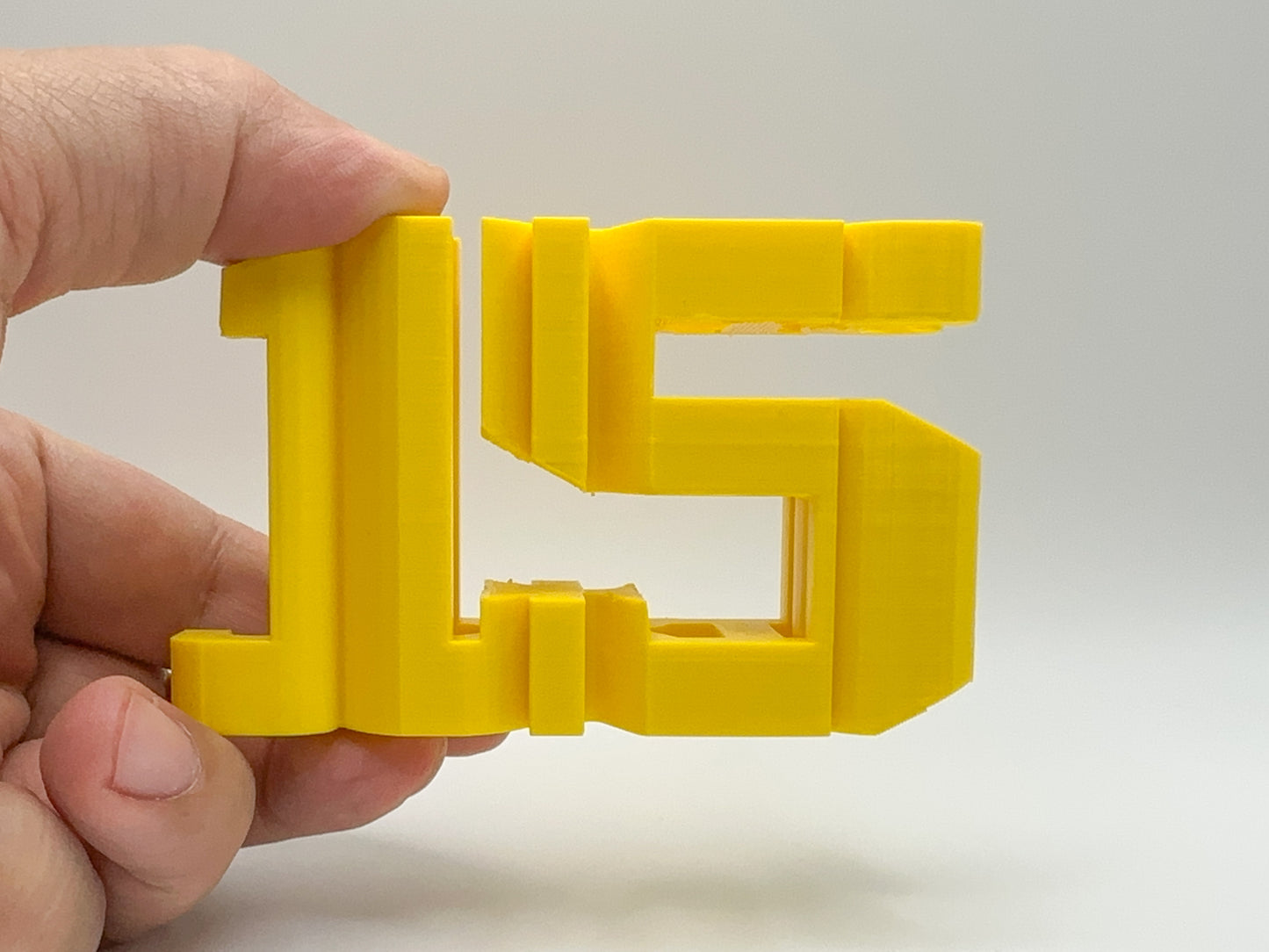 Cool Nikola Jokic #15 3D Printed Gift