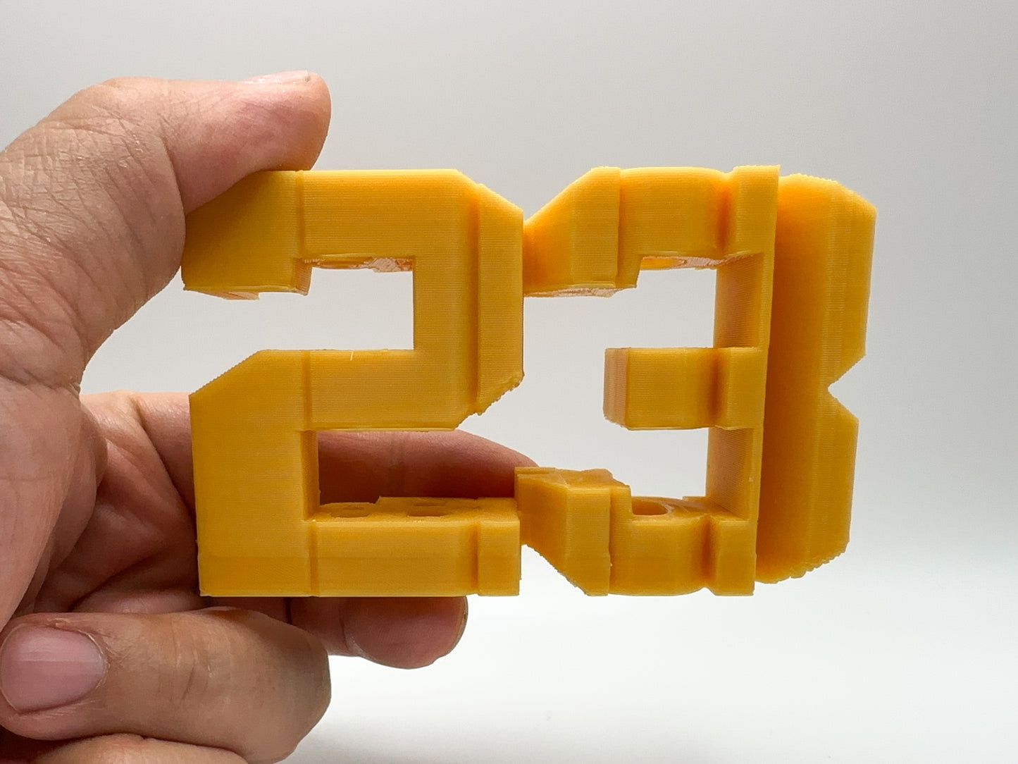 Cool LeBron James #23 3D Printed Gift