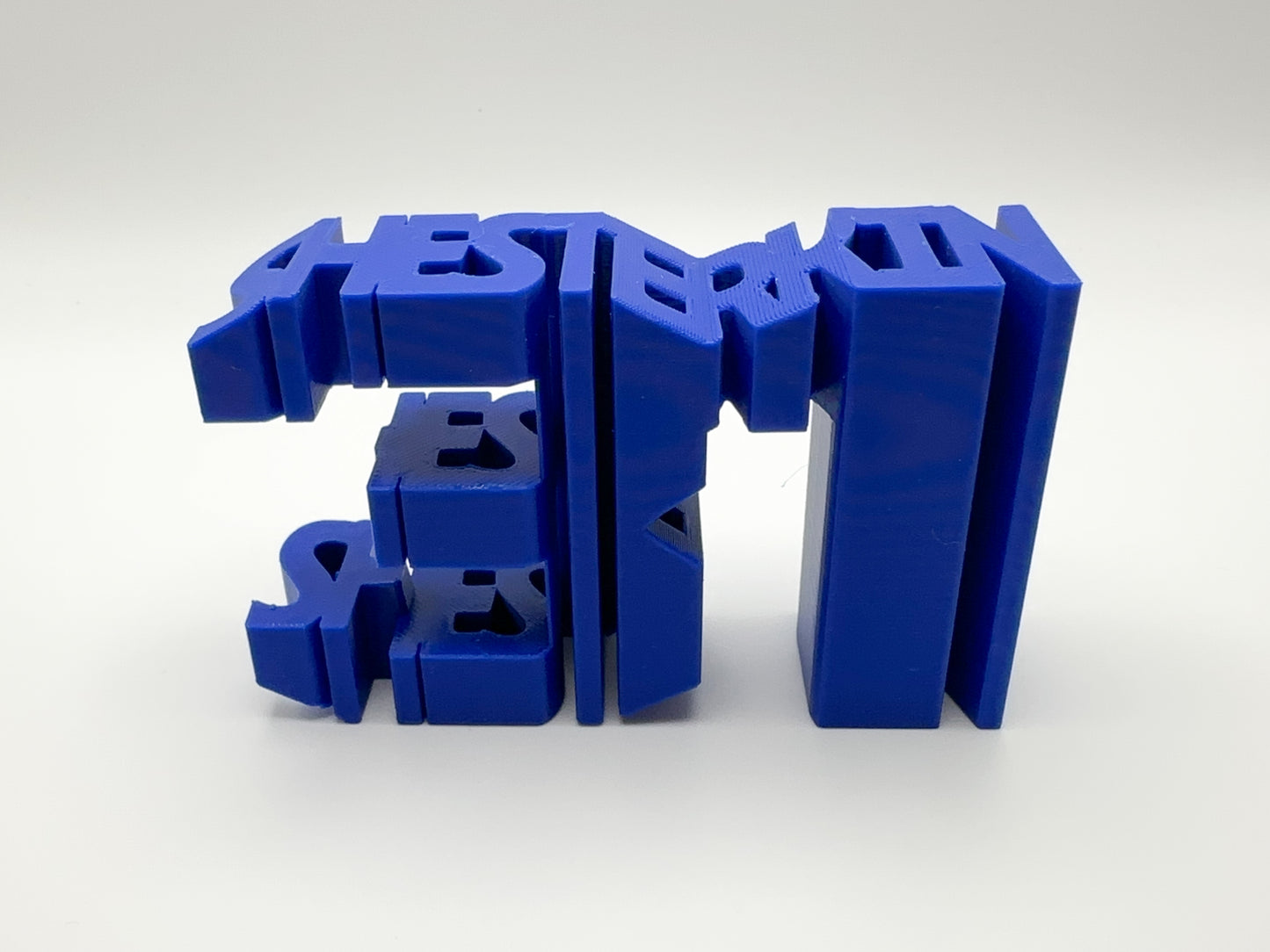 Cool Igor Shesterkin #31 3D Printed Gift