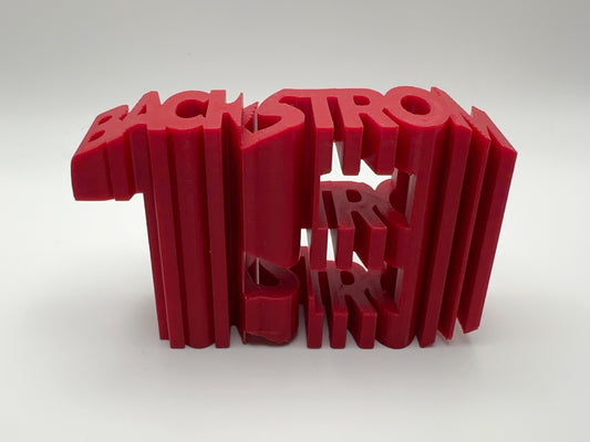 Cool Nicklas Backstrom #19 3D Printed Gift