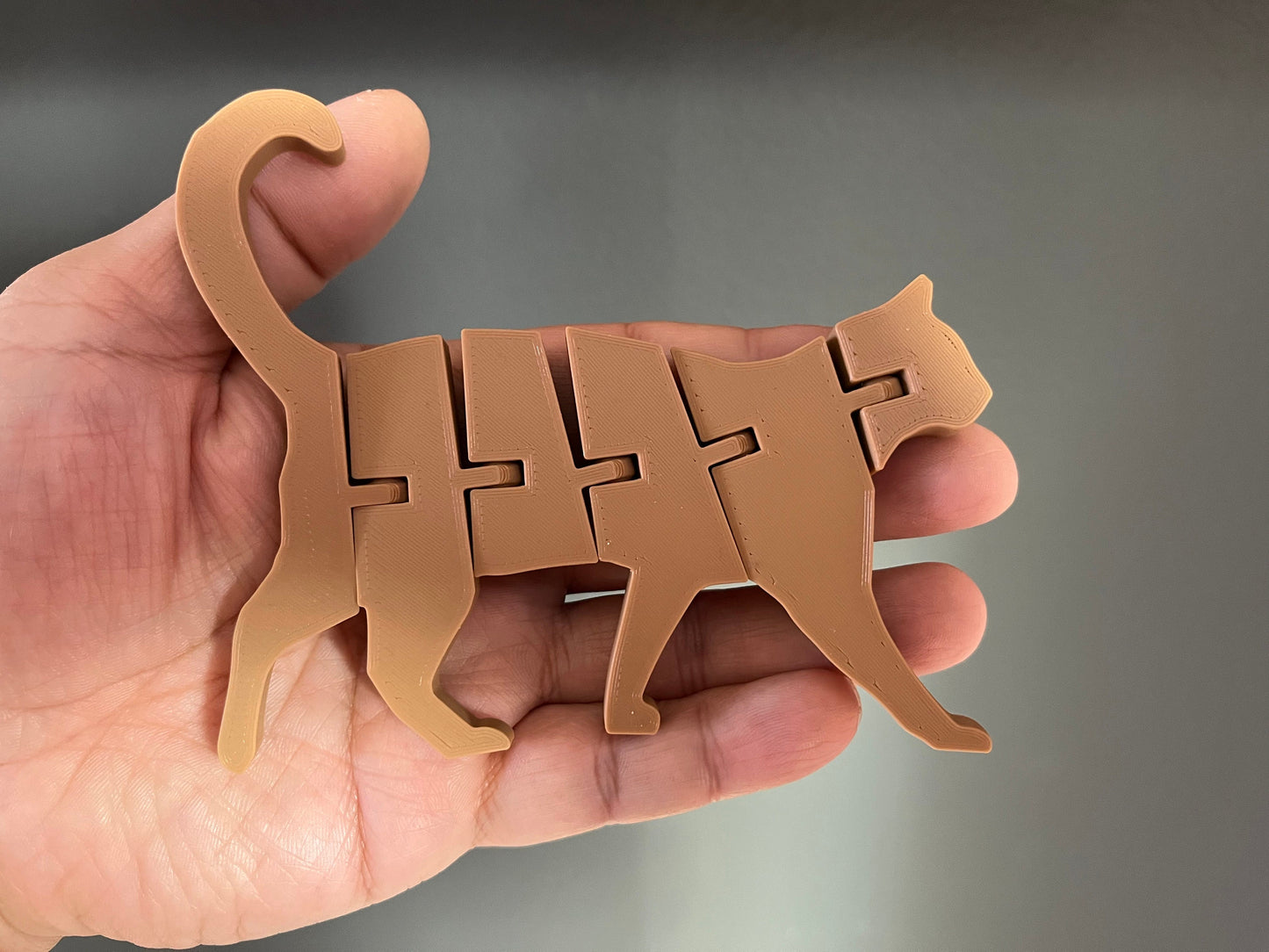 Flexi Cat Fidget Toy (3D Printed)